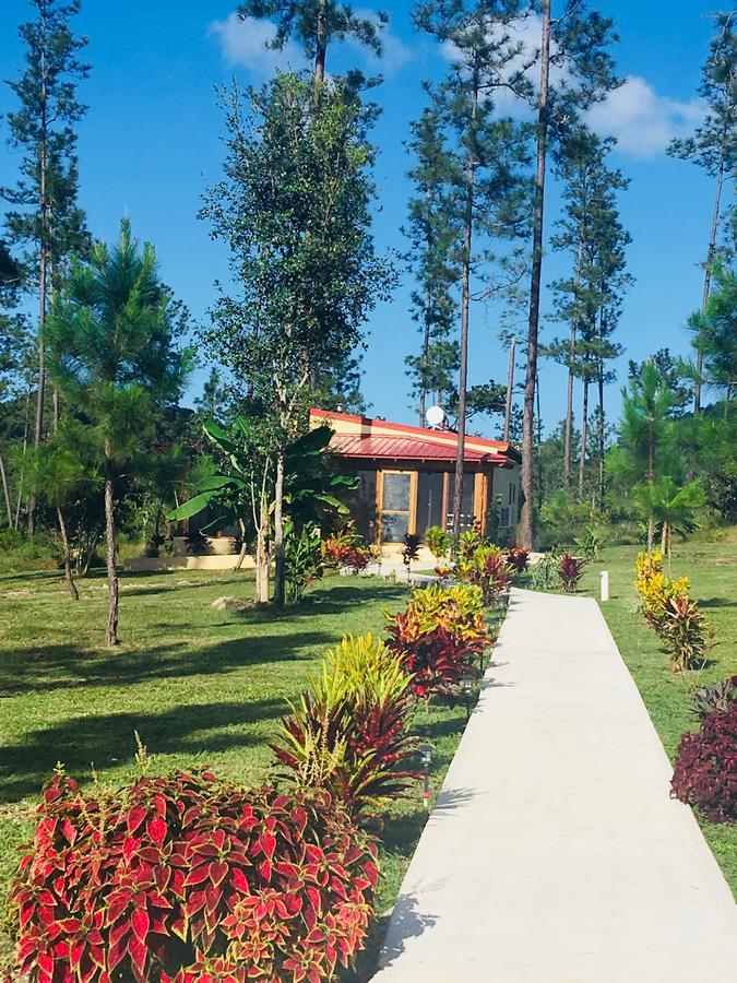 Kane Villas - Mountain Pine Ridge Сан Игнасио Екстериор снимка